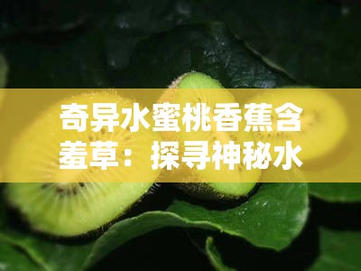 奇异水蜜桃香蕉含羞草：探寻神秘水果的奇妙世界