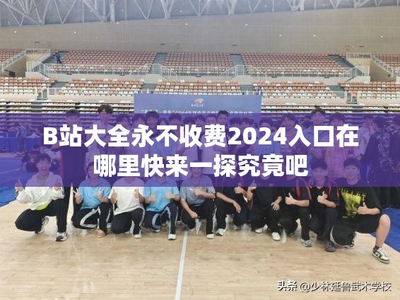 B站大全永不收费2024入口在哪里快来一探究竟吧