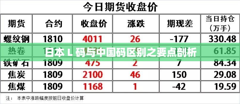 日本 L 码与中国码区别之要点剖析