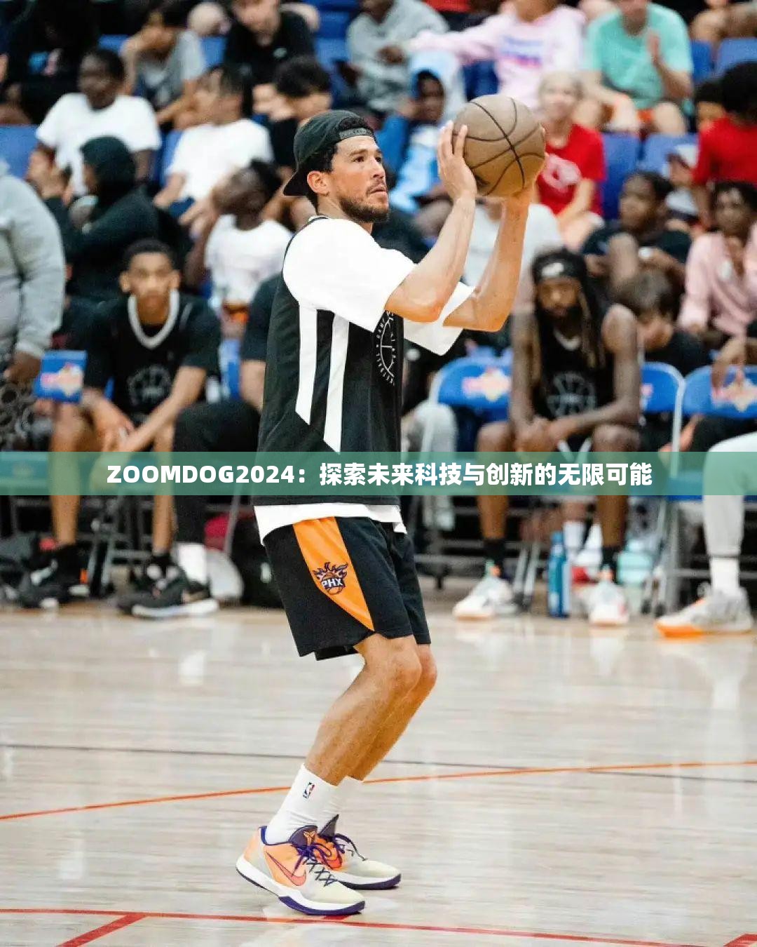 ZOOMDOG2024：探索未来科技与创新的无限可能