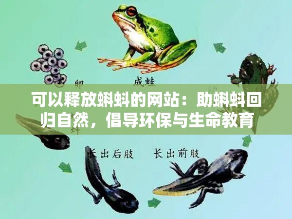 可以释放蝌蚪的网站：助蝌蚪回归自然，倡导环保与生命教育