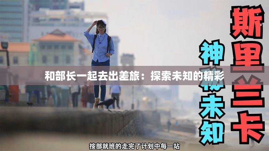 和部长一起去出差旅：探索未知的精彩
