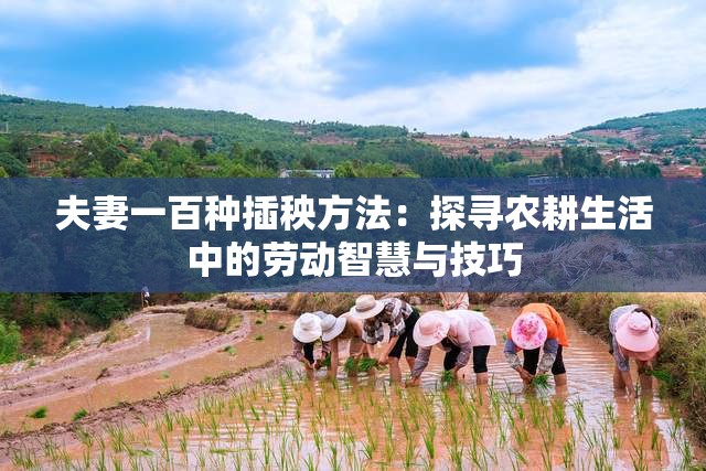 夫妻一百种插秧方法：探寻农耕生活中的劳动智慧与技巧