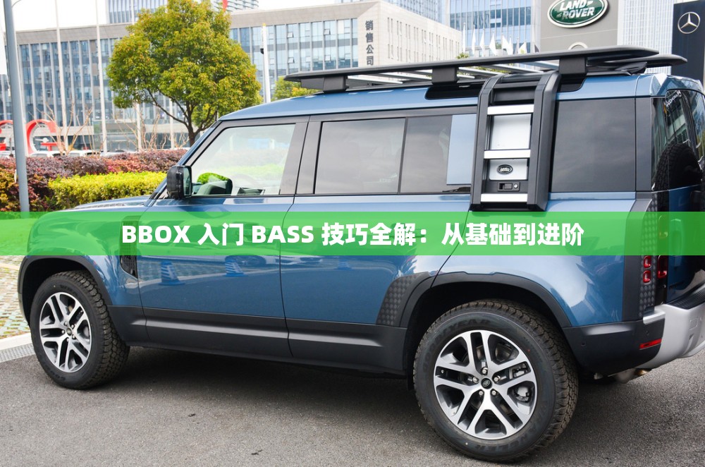 BBOX 入门 BASS 技巧全解：从基础到进阶