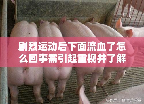剧烈运动后下面流血了怎么回事需引起重视并了解原因