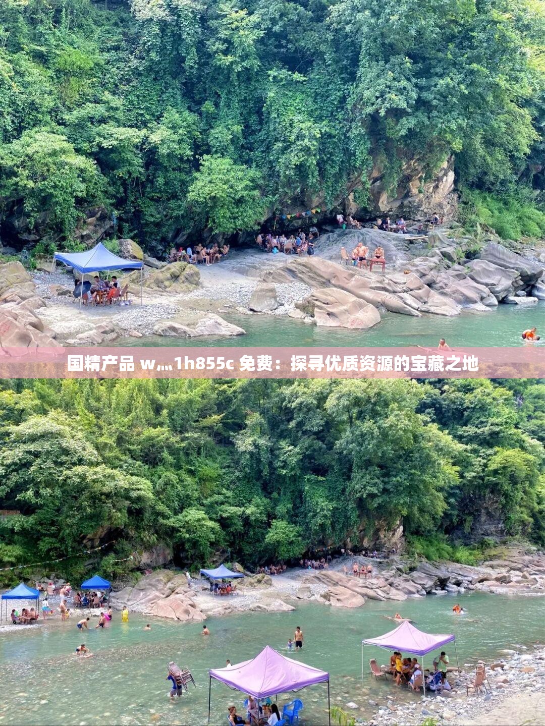国精产品 w灬1h855c 免费：探寻优质资源的宝藏之地