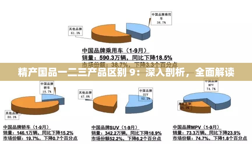 精产国品一二三产品区别 9：深入剖析，全面解读