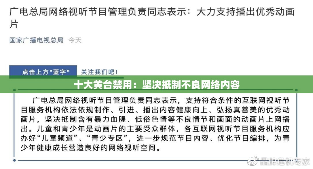 十大黄台禁用：坚决抵制不良网络内容