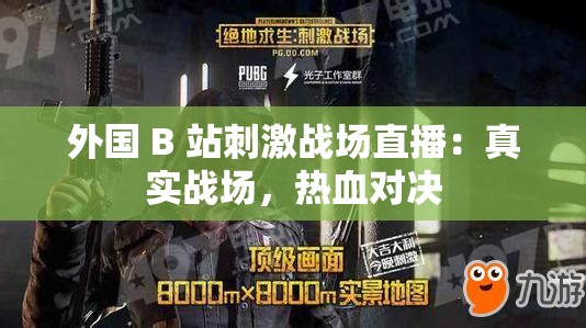 外国 B 站刺激战场直播：真实战场，热血对决