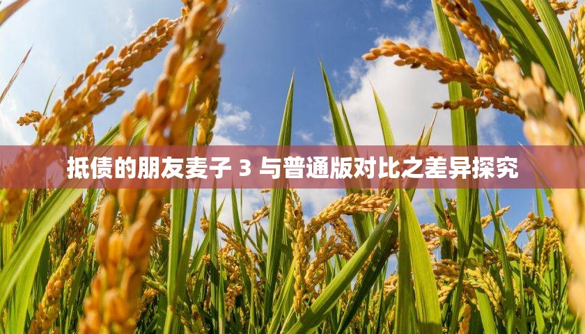 抵债的朋友麦子 3 与普通版对比之差异探究