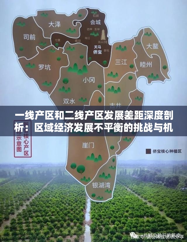 一线产区和二线产区发展差距深度剖析：区域经济发展不平衡的挑战与机遇