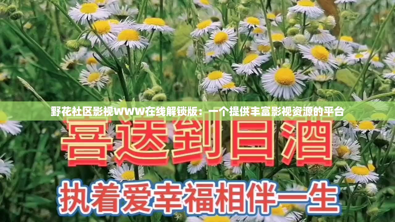 野花社区影视WWW在线解锁版：一个提供丰富影视资源的平台