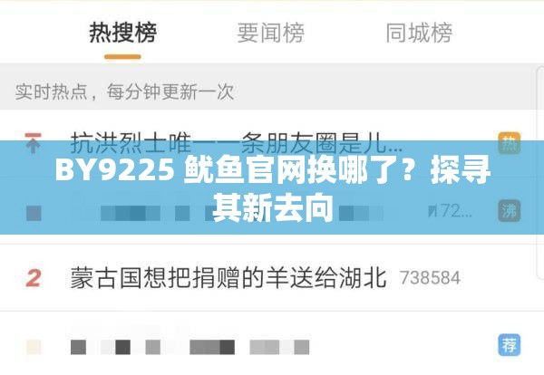 BY9225 鱿鱼官网换哪了？探寻其新去向