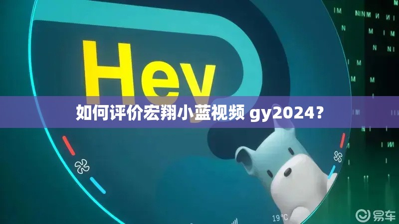 如何评价宏翔小蓝视频 gy2024？