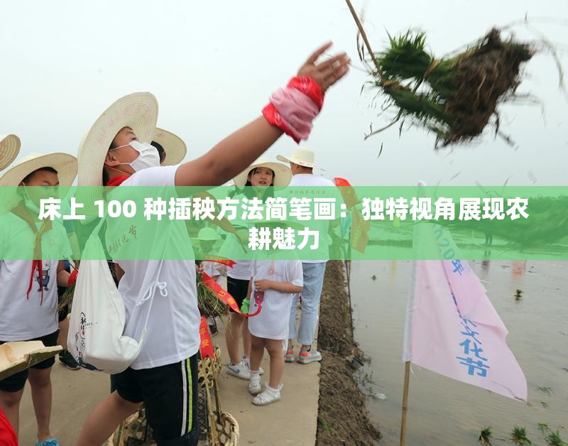 床上 100 种插秧方法简笔画：独特视角展现农耕魅力