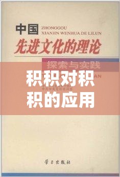 积积对积积的应用在实际场景中的探索与实践