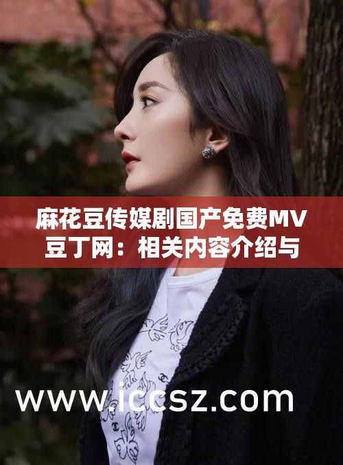 麻花豆传媒剧国产免费MV豆丁网：相关内容介绍与分析