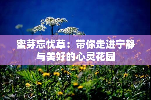 蜜芽忘忧草：带你走进宁静与美好的心灵花园