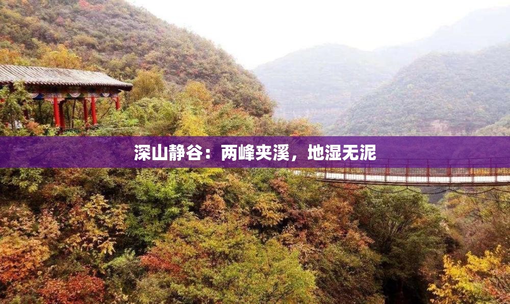 深山静谷：两峰夹溪，地湿无泥