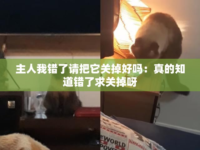 主人我错了请把它关掉好吗：真的知道错了求关掉呀