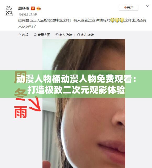 动漫人物桶动漫人物免费观看：打造极致二次元观影体验
