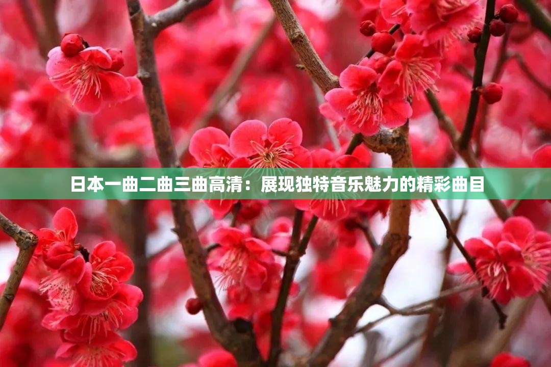 日本一曲二曲三曲高清：展现独特音乐魅力的精彩曲目