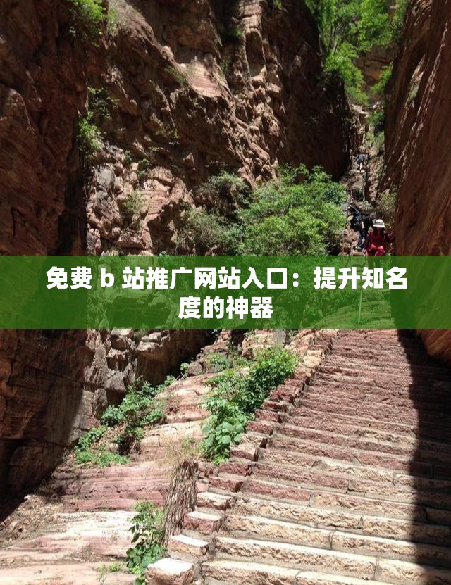 免费 b 站推广网站入口：提升知名度的神器