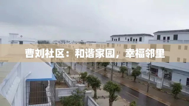 曹刘社区：和谐家园，幸福邻里