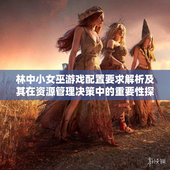 林中小女巫游戏配置要求解析及其在资源管理决策中的重要性探讨