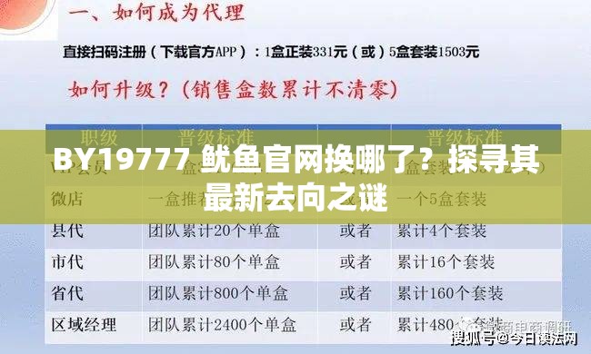BY19777 鱿鱼官网换哪了？探寻其最新去向之谜