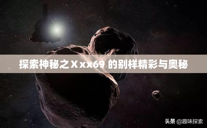 探索神秘之Ⅹxx69 的别样精彩与奥秘