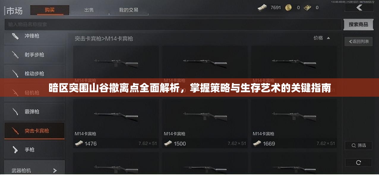 暗区突围山谷撤离点全面解析，掌握策略与生存艺术的关键指南