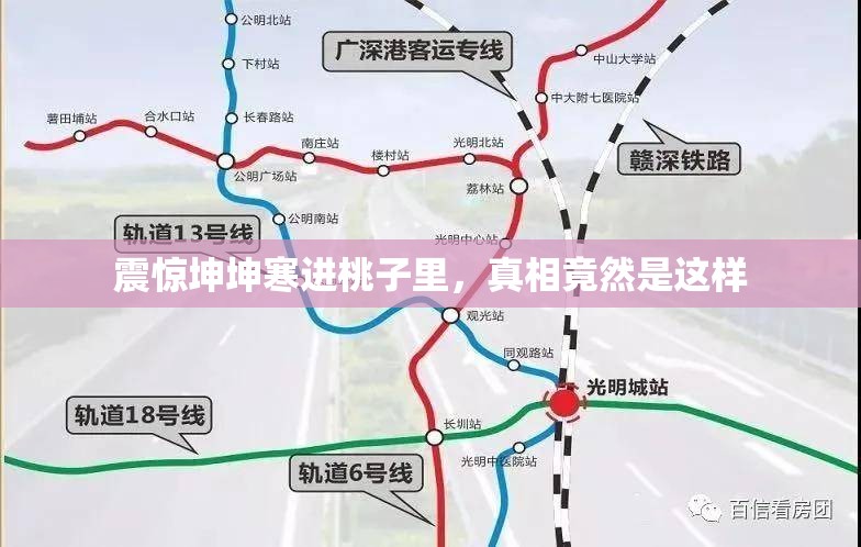 震惊坤坤寒进桃子里，真相竟然是这样