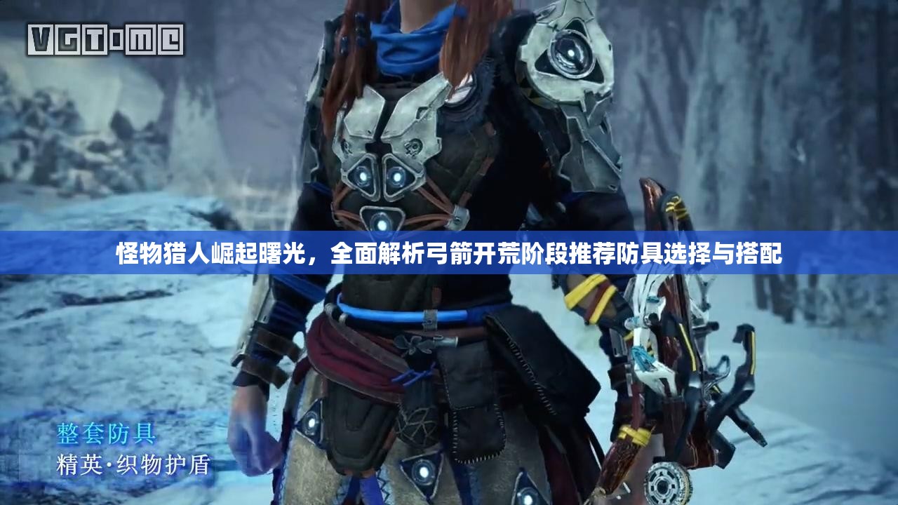 怪物猎人崛起曙光，全面解析弓箭开荒阶段推荐防具选择与搭配