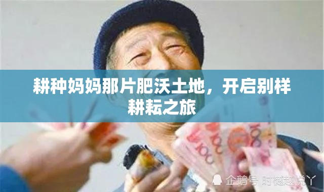 耕种妈妈那片肥沃土地，开启别样耕耘之旅