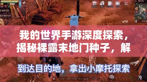 我的世界手游深度探索，揭秘裸露末地门种子，解锁前所未有的特殊奇遇之旅