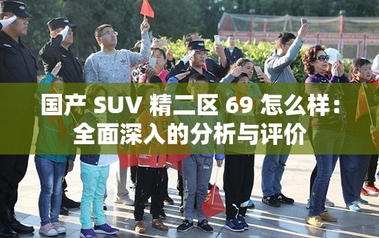 国产 SUV 精二区 69 怎么样：全面深入的分析与评价