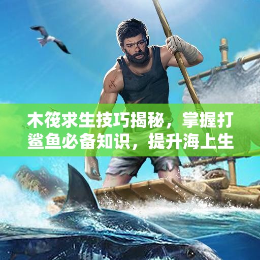 木筏求生技巧揭秘，掌握打鲨鱼必备知识，提升海上生存能力