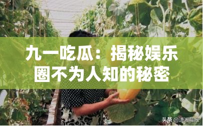 九一吃瓜：揭秘娱乐圈不为人知的秘密