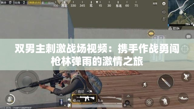 双男主刺激战场视频：携手作战勇闯枪林弹雨的激情之旅