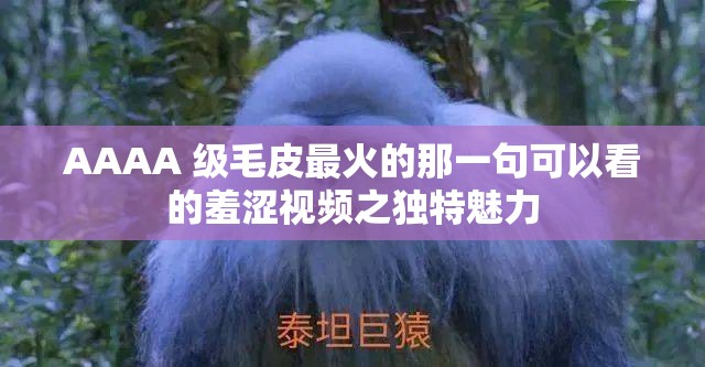 AAAA 级毛皮最火的那一句可以看的羞涩视频之独特魅力