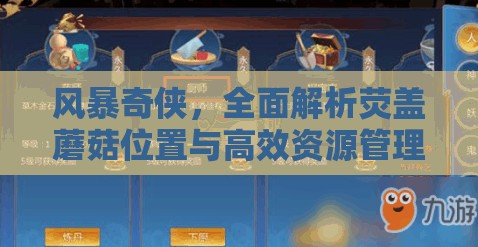 风暴奇侠，全面解析荧盖蘑菇位置与高效资源管理策略