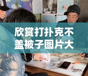 欣赏打扑克不盖被子图片大全：独特视角下的精彩呈现