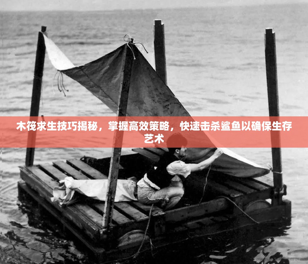 木筏求生技巧揭秘，掌握高效策略，快速击杀鲨鱼以确保生存艺术