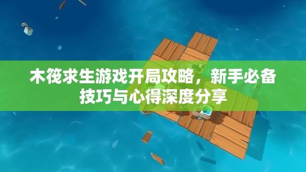 木筏求生游戏开局攻略，新手必备技巧与心得深度分享