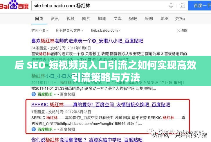 后 SEO 短视频页入口引流之如何实现高效引流策略与方法