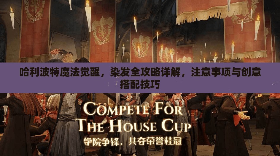 哈利波特魔法觉醒，染发全攻略详解，注意事项与创意搭配技巧