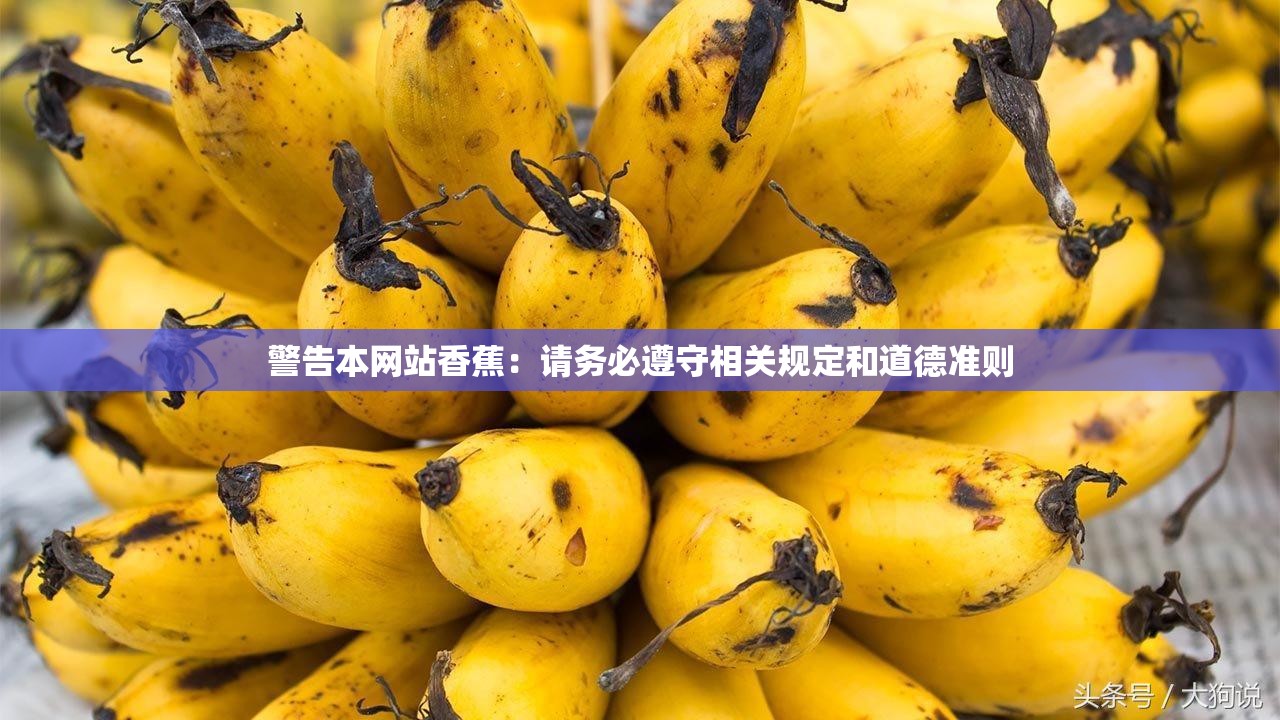 警告本网站香蕉：请务必遵守相关规定和道德准则