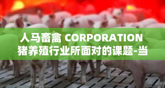 人马畜禽 CORPORATION 猪养殖行业所面对的课题-当前困境与未来发展之路探讨