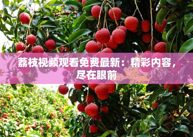 荔枝视频观看免费最新：精彩内容，尽在眼前